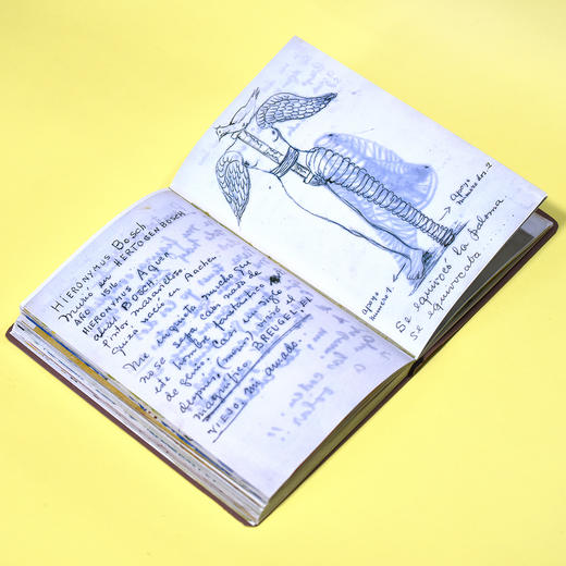 弗里达·卡罗日记：一部私密的自我画像 商品图12