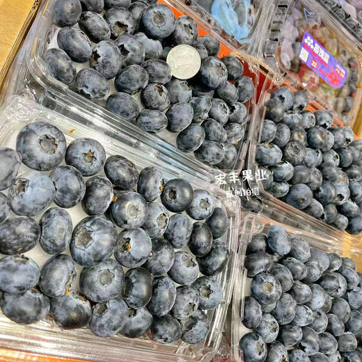 【宏丰精选】超大蓝莓，口感纯甜，果粉足，活动价25一盒 商品图5