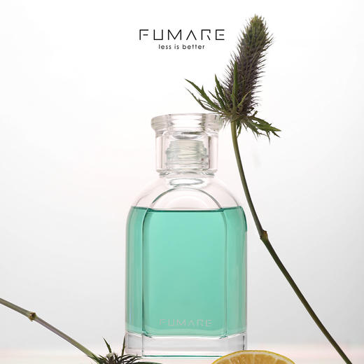 FUMARE芬缘MUSE系列无火香薰卧室内家用客厅持久留香藤条香氛礼物 商品图6