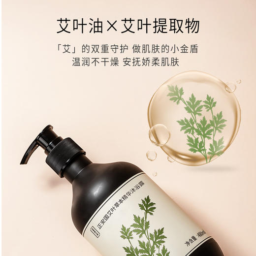 正安 艾草沐浴露 艾叶油迷迭香积雪草等草本提取 清爽扶正艾草精华沐浴液  480ml/瓶 商品图4