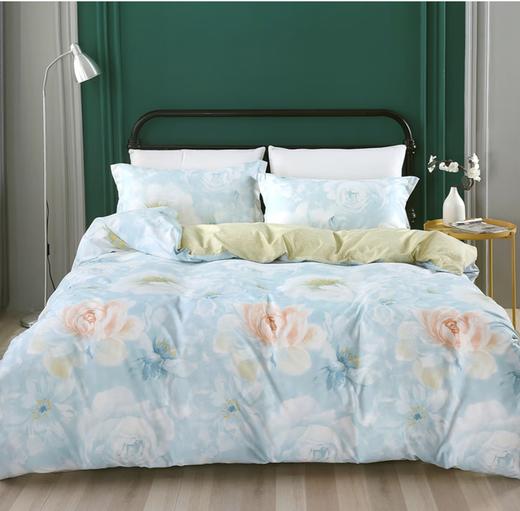 水星家纺 床上用品四件套DH【线下专柜同款】 鸿蒙 床单款 200cm×230cm/套 商品图1