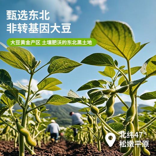 【秒杀】【29.9元2盒】豆大狮红枣枸杞血橙七红植物萃豆浆粉黄芪党参植萃豆浆粉小米南瓜猴头菇七黄植萃豆浆粉200g 商品图1