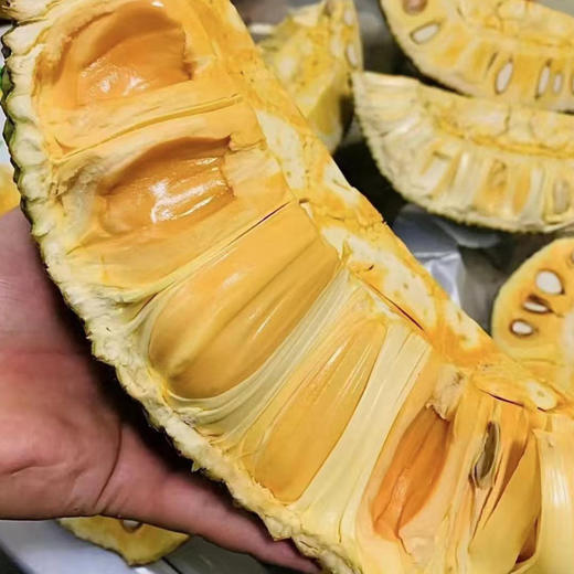 云南西双版纳泰8奶香菠萝蜜新鲜现摘整个云南果香浓郁果肉香甜细腻包邮发货 商品图1