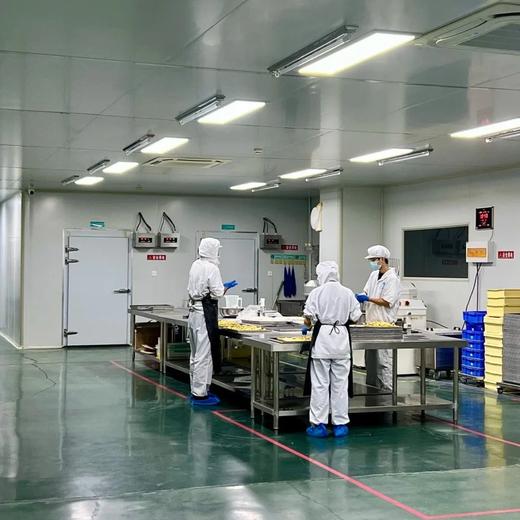 【4盒装】无抗生素无激素纯粮黑土猪肉肉馅手工早餐速食抄手 商品图3