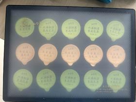 壮乡桂品 半芽湾东方茉莉组合茶叶 12G*15罐（仅限钦州鼓雪站自提）