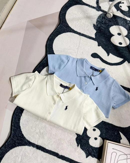 F032525春夏新款休闲百搭翻领领口小马刺绣针织Polo衫T恤 商品图2