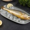 有机大黄鱼/有机黄鱼鲞，12项药残未检出，无抗有机双认证，生鲜冷冻安心美味，顺丰发货 商品缩略图3