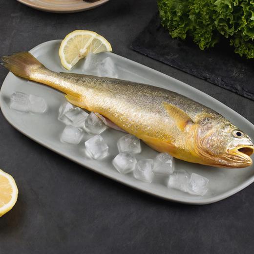 有机大黄鱼/有机黄鱼鲞，12项药残未检出，无抗有机双认证，生鲜冷冻安心美味，顺丰发货 商品图3