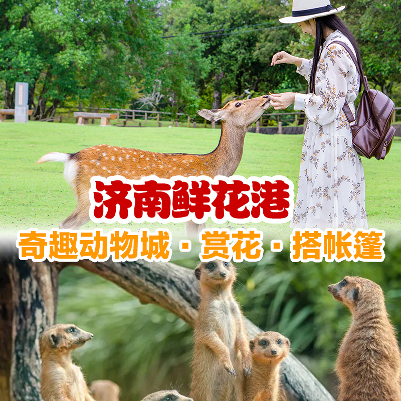 济南鲜花港 - 奇趣动物城！单人27.9，双人47.9元！赏花 搭帐篷