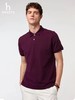 F032547新款凉感夏季男士商务休闲翻领POLO短袖T恤 商品缩略图10