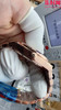 VC江诗丹顿8F纵横四海系列4500V 玫金款 男士腕表 商品缩略图4