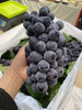 宏丰精选 蓝莓葡萄 入口蓝莓味 甜葡萄   零售19.8一斤 商品缩略图5
