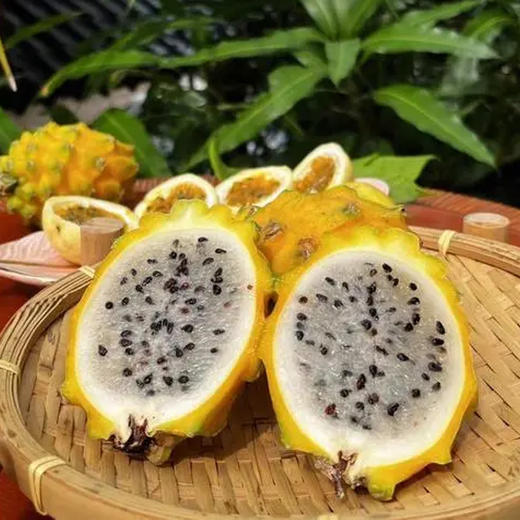 【黄金燕窝果（麒麟果） 海南特产 高品质】果肉丝滑如燕窝，爽滑细腻，甜蜜多汁 商品图4