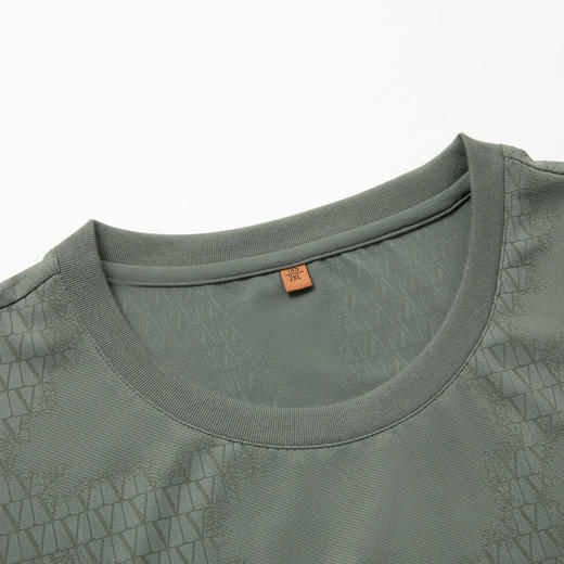 【DPS】大依优型大码男装夏季冰丝圆领短袖T恤运动休闲暗纹上衣半袖男士 商品图4