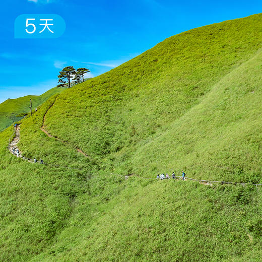不止武功山｜高山草甸精华2日+明月山+丹霞绝壁 30公里轻装徒步 一次走完江西山野 5日 商品图1