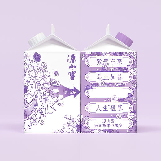 蓝花楹●季节限定 凉山雪蓝花楹500ml*6瓶组合装整箱整件 商品图2