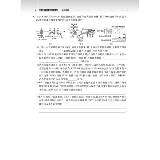 高中生物专项突破——非选择题（第二版）/吴崇良 主编/浙江大学出版社 商品图4