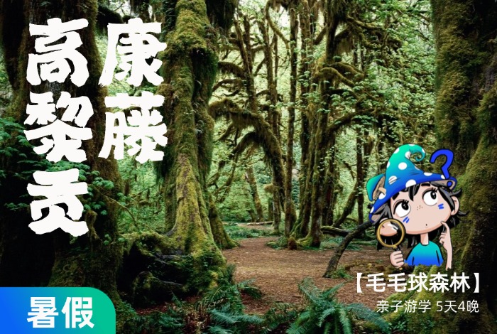 【暑假】康藤高黎贡 | 在毛毛球森林，看盛夏自然博物营 5天4晚