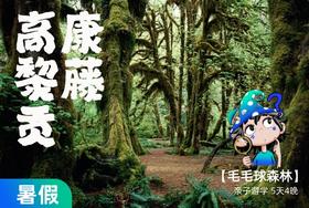 【暑假】康藤高黎贡 | 在毛毛球森林，看盛夏自然博物营 5天4晚
