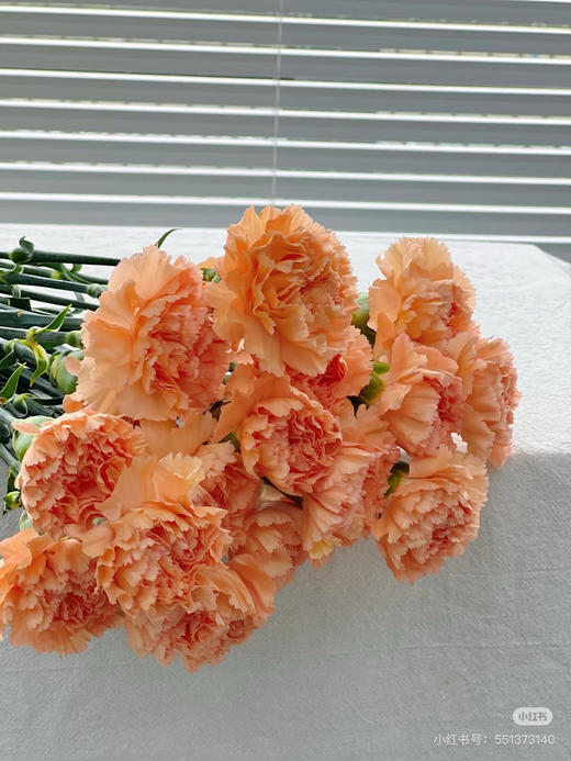 【2026.4.3】特价：1扎20枝A级橙光康乃馨25.9（现货 下单即可到店自提） 商品图3