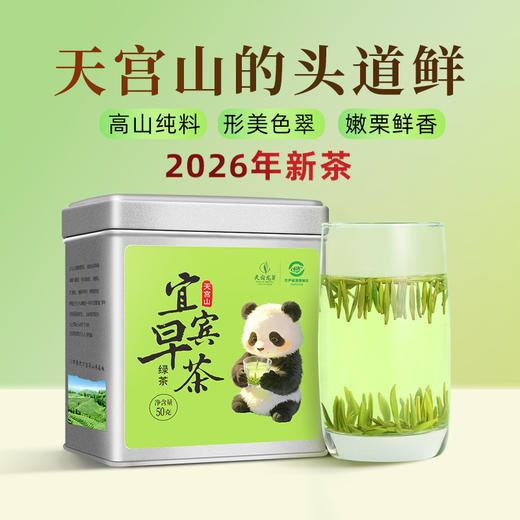 【新茶】茶叶 绿茶 2026新茶 雀舌 宜宾早茶 天府龙芽大师 新茶 茶饮 50g 商品图2