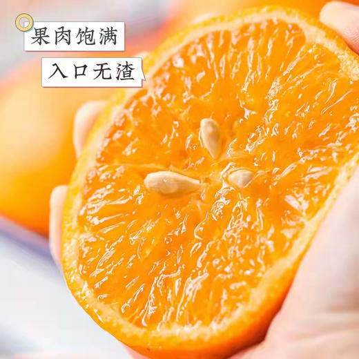 礼盒装4斤大果【云南高山虎柑】黄金甜酸比，果大肉多，自带糖化虎皮斑，不打蜡不打甜味剂 商品图2