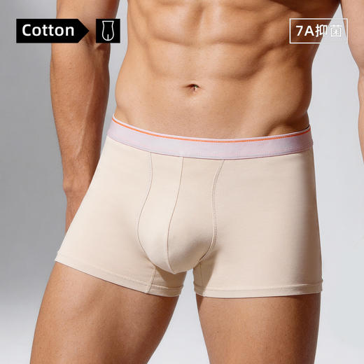 【春季上新】100% 长绒棉内裤 · 60s 四季款棉内裤 商品图3
