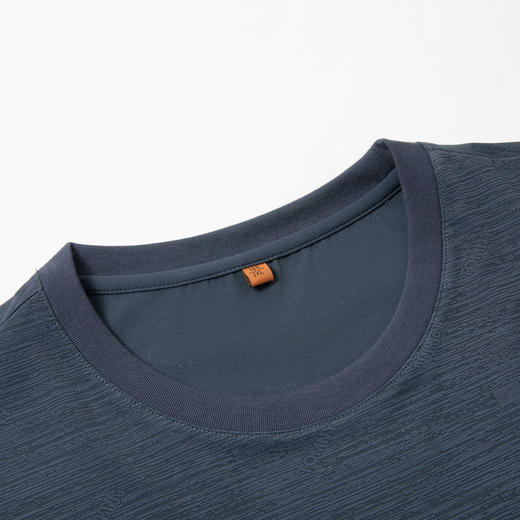 【DPS】大依优型大码男装夏季冰丝圆领短袖T恤运动休闲上衣半袖男士 商品图4