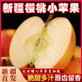 【疆品南下】大疆有礼丨阿克苏樱桃小苹果 多规格可选