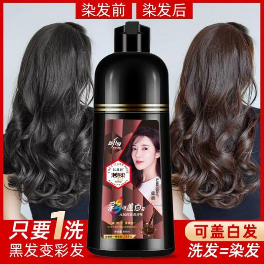 一支黑洗发露 洗发=染发 不沾头皮 草本提取人参芝麻一梳黑 商品图1