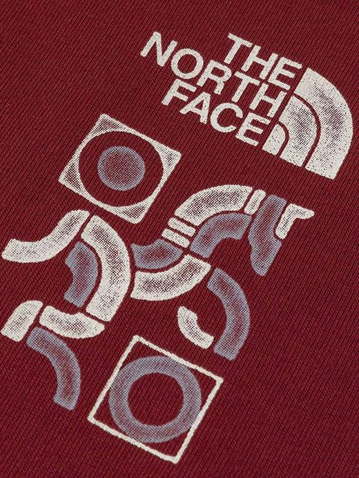 点此购买 北面夏季马年限定款男女款运动户外休闲透气短袖T恤 xj 343354 商品图12