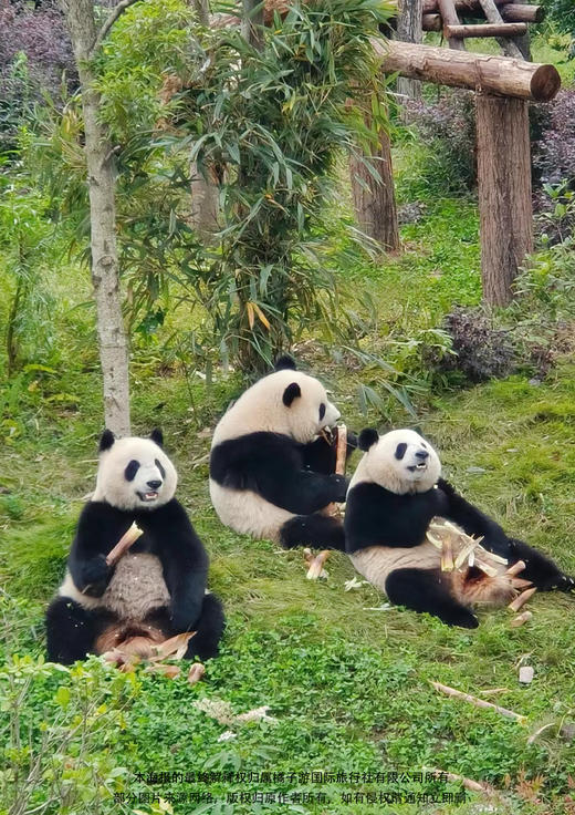 【亲子研学】火箭亲子五天四晚探索营 商品图1