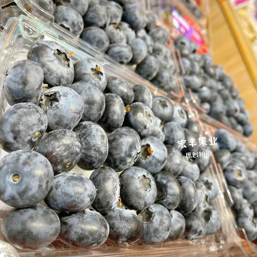 【宏丰精选】超大蓝莓，口感纯甜，果粉足，活动价25一盒 商品图8