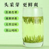 【新茶】茶叶 绿茶 2026新茶 雀舌 宜宾早茶 天府龙芽大师 新茶 茶饮 50g 商品缩略图4