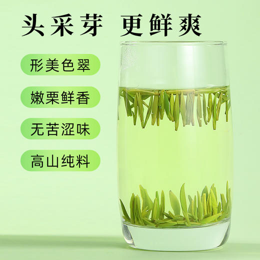 【新茶】茶叶 绿茶 2026新茶 雀舌 宜宾早茶 天府龙芽大师 新茶 茶饮 50g 商品图4