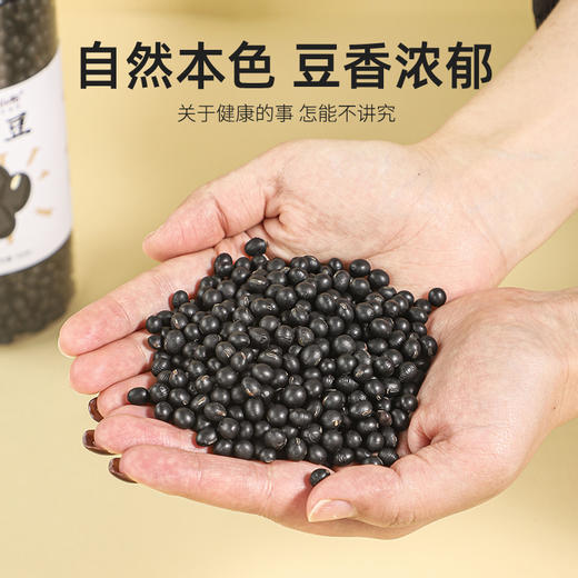 袋鼠小布绿心黑豆一级精选农家自产非转基因五谷杂粮黑豆 700g/罐 商品图2