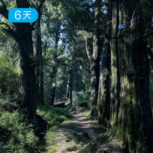 寻迹古蜀道｜跟随诗仙李白的足迹 行走千年历史长廊 56KM轻徒步 6日 商品图1