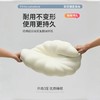 深！睡！救！星！【京帝 零压贝壳记忆枕】仿生工学分区 全新升级生物基记忆棉（纯到可种豆芽） 深睡延长* 零压慢回弹 悬浮睡感 贴合头部 亲肤丝滑 凉感缎面 #M663 商品缩略图1
