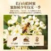 东北长白山椴树蜜官方旗舰店中药饮片500g/瓶蜂蜜椴树蜜纯正 商品缩略图1