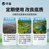 华畜生物底改三色颗粒20斤干撒50亩 三种菌 菌酶结合分解能力更强 商品缩略图3