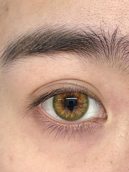 hancon日抛美瞳 狐狸 14.5mm 商品图0