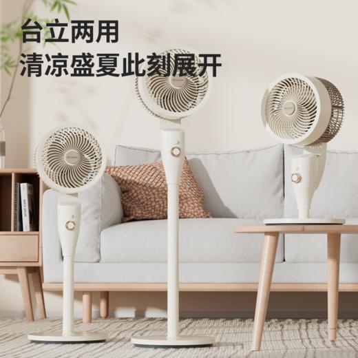 美菱MPF-LX5305电风扇（机械循环扇） 商品图3