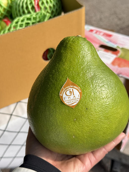 泰国红宝石蜜柚 商品图6