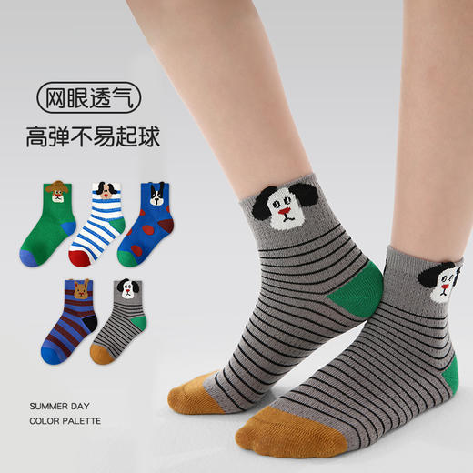 【19.9元5双】儿童春夏薄款袜子 A类棉质透气网眼童袜 商品图3
