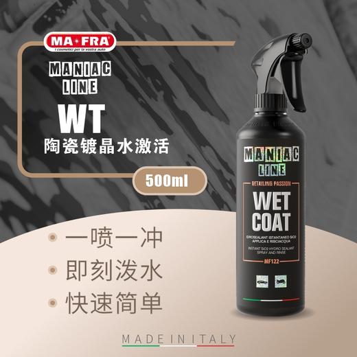 MANIAC LINE  WT陶瓷镀晶水激活500ml 商品图0