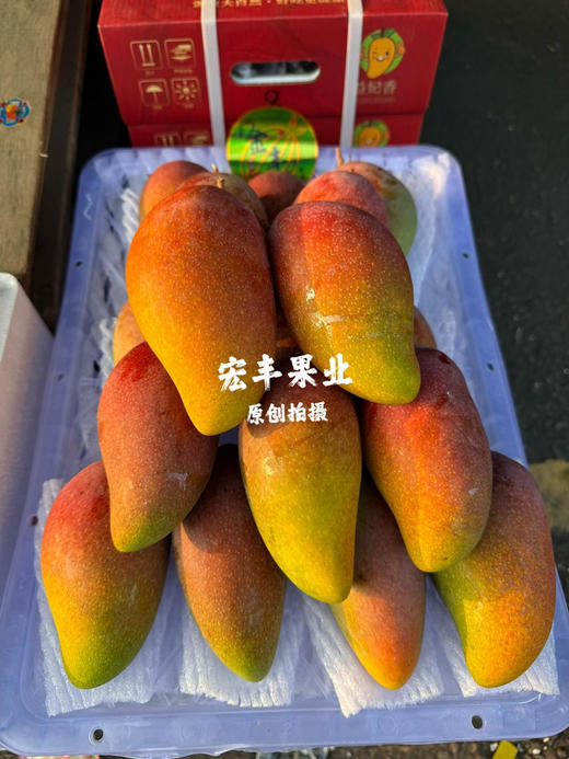 宏丰精选 贵妃芒 新鲜到货，香味浓郁，活动价19.8一斤 商品图2
