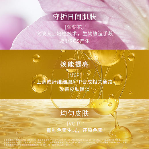 枫缇 御泽日间抗皱焕采保湿胶囊精华 0.33mL*28粒0630456231750 商品图2