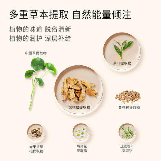 正安 艾草沐浴露 艾叶油迷迭香积雪草等草本提取 清爽扶正艾草精华沐浴液  480ml/瓶 商品图5