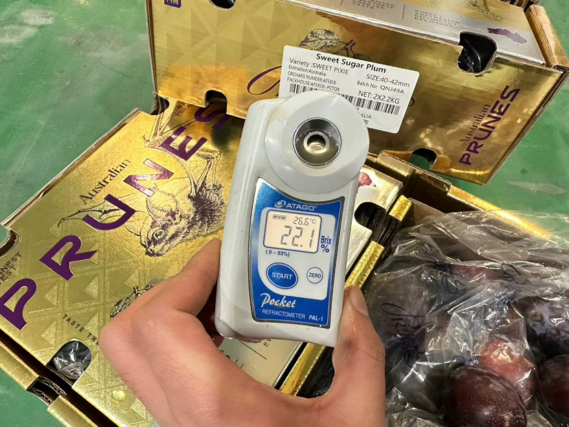 西梅🛫 🛫 〰琥珀色的果肉多汁果肉细腻😍 😍 特别甜的果子，宝宝一天可以来几颗[呲牙]放软蜜甜剥皮做辅食最佳选择！