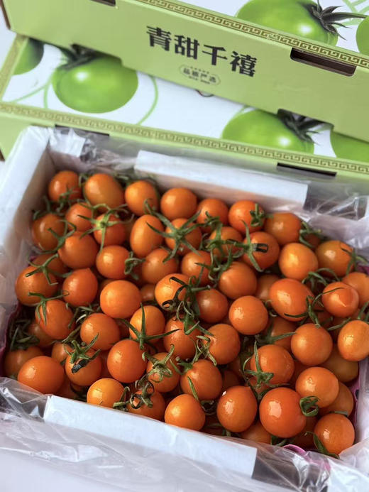 香芒皇后小番茄 商品图4